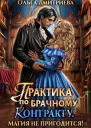Практика по брачному контракту Магия не пригодится