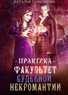 Практика СИ