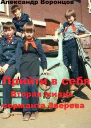 Прийти в себя Вторая жизнь сержанта Зверева