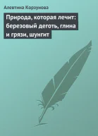 Природа которая лечит березовый деготь глина и грязи шунгит