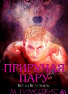 Приручая пару ЛП