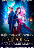 Приворот для плохиша или Сиротка в академии магии