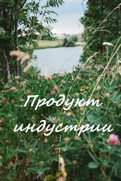 Продукт индустрии СИ