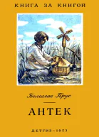 Прус Б Антек Рассказ
