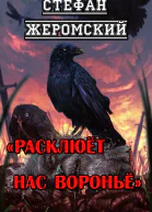 Расклюёт нас вороньё