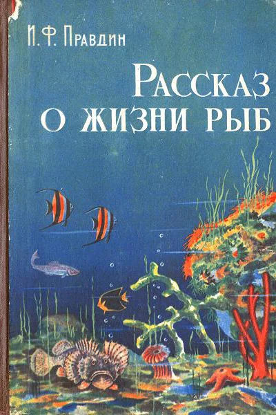 Рассказ о жизни рыб