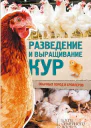 Разведение и выращивание кур обычных пород и бройлеров