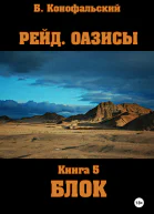Рейд Оазисы Книга 5 Блок