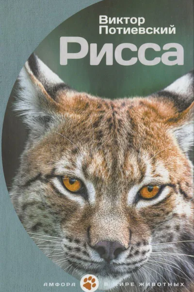 Рисса