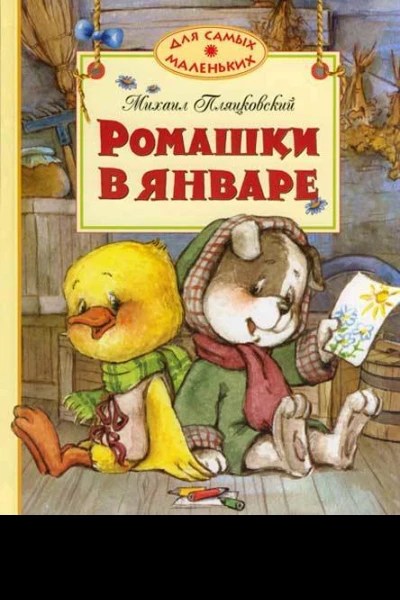Ромашки в январе