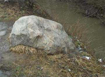 Рыбка в пруду