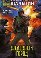 Шалыгин В Железный город