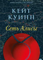 Сеть Алисы