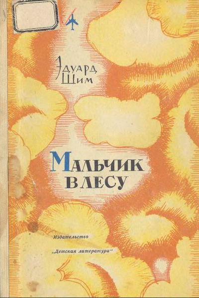 Шим Э Мальчик в лесу