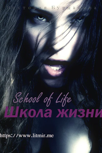 Школа жизни СИ