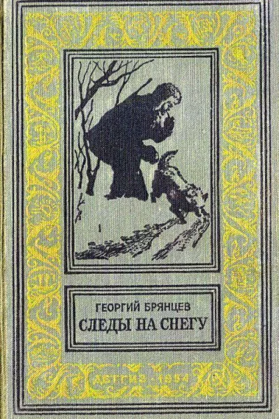 Следы на снегу