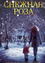 Снежная роза