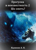 Шо опять СИ