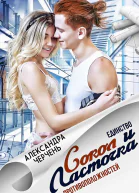 Сокол и Ласточка