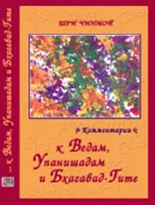 Шри Чинмой Комментарии к Ведам Упанишадам и БхагавадГите