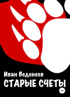 Старые счеты