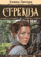 Стрекоза