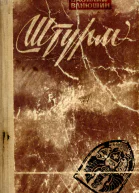 Штурм
