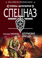 Штурмовая бригада