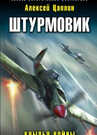 Штурмовик Крылья войны  Алексей Цаплин
