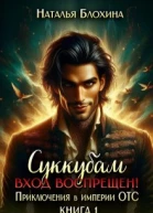 Суккубам вход воспрещен Приключения в империи Отс