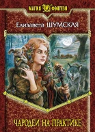 Шумская Е Чародеи на практике