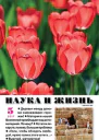 Свой мир
