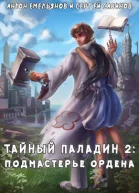 Тайный паладин 2 Подмастерье ордена