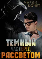 Темный час перед рассветом