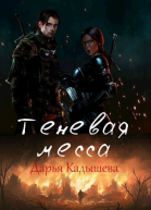Теневая месса СИ