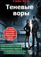 Теневые воры