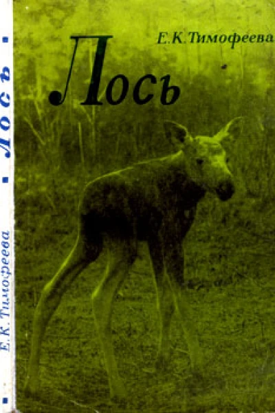 Тимофеева ЕК Лось