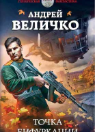 Точка бифуркации  Андрей Величко