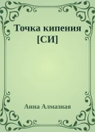 Точка кипения СИ
