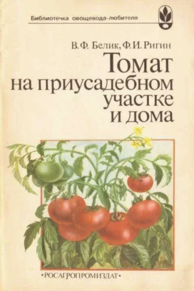 Томат на приусадебном участке и дома