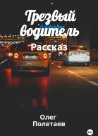 Трезвый водитель