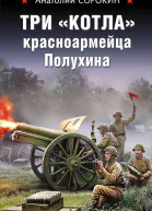 Три котла красноармейца Полухина