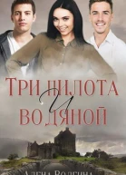 Три пилота и водяной СИ
