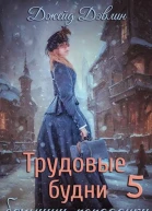 Трудовые будни барышнипопаданки 5