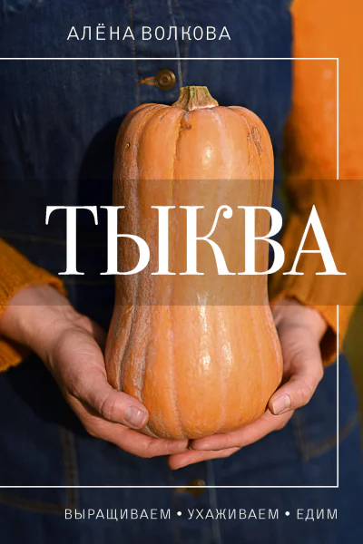 Тыква Выращиваем ухаживаем и едим