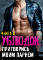Ублюдок притворись моим парнем Книга 2 СИ