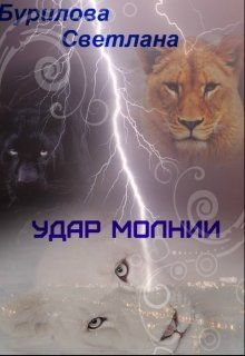 Удар молнии СИ