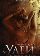 Улей 3