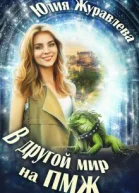 В другой мир на пмж