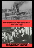 В огне братоубийственной резни 19181919 годы